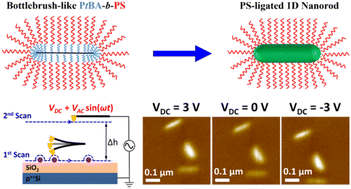 Graphical abstract: Improved electronic uniformity and nanoscale homogeneity in template-grown CsPbBr3 nanorods