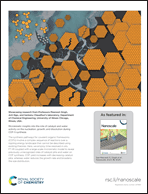 Graphical abstract: Back cover