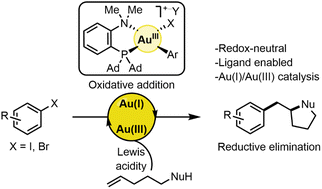 Graphical abstract: Heart of gold: enabling ligands for oxidative addition of haloorganics in Au(i)/Au(iii) catalysed cross-coupling reactions