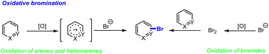 Graphical abstract: Recent progress in the oxidative bromination of arenes and heteroarenes
