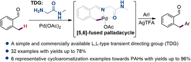 Graphical abstract: ortho-C(sp3)–H arylation of aromatic aldehydes using 2-amino-N-methyl-acetamide as a L,L-type transient directing group