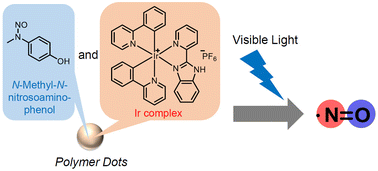 Graphical abstract: Photoinduced NO-release from polymer dots doped with an Ir(iii) complex and N-methyl-N-nitroso-4-aminophenol