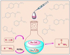 Graphical abstract: Cyclotrimetaphosphate-assisted ruthenium catalyst for the hydration of nitriles and oxidation of primary amines to amides under aerobic conditions in water