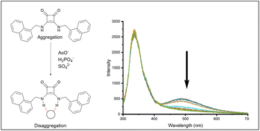 Graphical abstract: Squaramides for colorimetric and fluorescent anion sensing