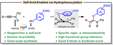 Graphical abstract: Regio- and stereospecific cis-hydrophenoxylation of ynamides with acidic phenols