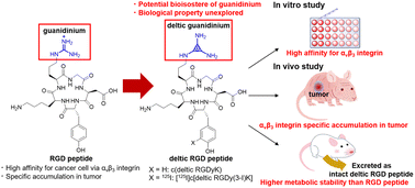 Graphical abstract: Synthesis and evaluation of a deltic guanidinium analogue of a cyclic RGD peptide