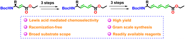 Graphical abstract: Stereoselective synthesis of backbone extended π-conjugated amino esters