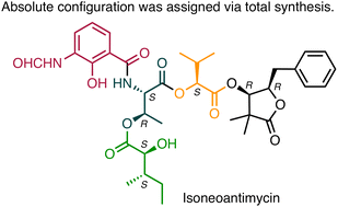 Graphical abstract: Total synthesis of isoneoantimycin