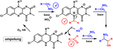 Graphical abstract: Catalytic artificial nitroalkane oxidases – a way towards organocatalytic umpolung