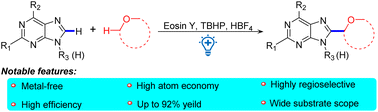 Graphical abstract: Visible light-induced direct alkylation of the purine C8–H bond with ethers