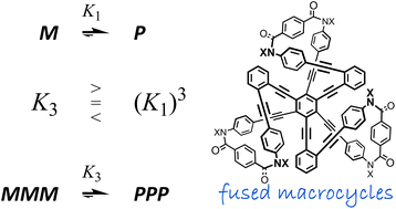 Graphical abstract: An attempt to consider cooperativity in helical-sense preferences induced in fused macrocycles