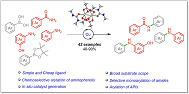 Graphical abstract: N,N′-Dimethylurea as an efficient ligand for the synthesis of pharma-relevant motifs through Chan–Lam cross-coupling strategy