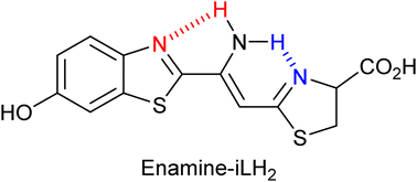 Graphical abstract: Bioluminescence, photophysical, computational and molecular docking studies of fully conformationally restricted enamine infraluciferin