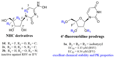 Graphical abstract: Synthesis and evaluation of NHC derivatives and 4′-fluorouridine prodrugs