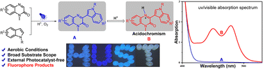 Graphical abstract: Oxidative cross-coupling of quinoxalinones with indoles enabled by acidochromism