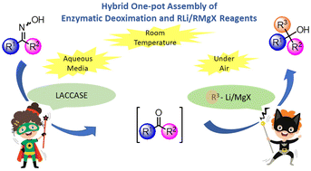 Graphical abstract: From oximes to tertiary alcohols in water, at room temperature and under air: a hybrid one-pot tandem assembly of enzymatic deoximation and RLi/RMgX reagents