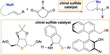 Graphical abstract: Chiral sulfide and selenide catalysts for asymmetric halocyclizations and related reactions