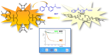 Graphical abstract: Fluorescent sensing of non-steroidal anti-inflammatory drugs naproxen and ketoprofen by dansylated squaramide-based receptors