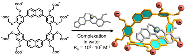 Graphical abstract: Synthesis of a water-soluble naphthalene-based macrocycle and its host–guest properties