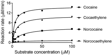 Graphical abstract: Kinetic characterization of an efficient cocaine hydrolase against toxic metabolites of cocaine