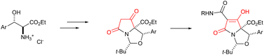 Graphical abstract: Tetramate derivatives by chemoselective Dieckmann ring closure of allo-phenylserines, and their antibacterial activity