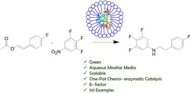 Graphical abstract: A facile, one-pot reductive alkylation of aromatic and heteroaromatic amines in aqueous micellar media: a chemoenzymatic approach