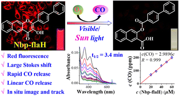 Graphical abstract: Exactly controlled linear CO liberation: an A- and B-ring simultaneously extended flavonol-based red fluorescent photoCORM