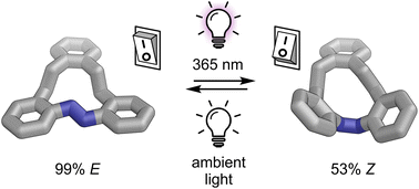 Graphical abstract: Twelve-membered ring photoswitches with excellent Z → E conversion under ambient light