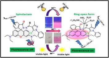 Graphical abstract: A colorimetric and ‘OFF–ON’ fluorometric chemosensor based on a rhodamine-pyrazole derivative for the detection of Al3+, Fe3+and Cr3+metal ions, and its intracellular application