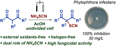 Graphical abstract: An environmentally benign way to synthesize 2-thiocyano-1,3-dicarbonyl compounds with high antifungal activity: a key role of solvent