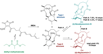 Graphical abstract: First total synthesis of type II abyssomicins: (±)-abyssomicin 2 and (±)-neoabyssomicin B