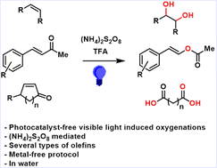 Graphical abstract: Oxidative transformations of olefins employing persulfate/visible light irradiation in water