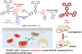 Graphical abstract: An ESIPT-based AIE fluorescent probe to visualize mitochondrial hydrogen peroxide and its application in living cells and rheumatoid arthritis
