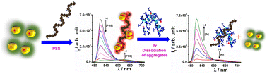 Graphical abstract: Polymer-mediated tuning of the monomer–aggregate equilibrium of a coumarin derivative for ratiometric sensing of protamine