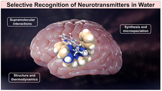 Graphical abstract: Selective recognition of neurotransmitters in aqueous solution by hydroxyphenyl aza-scorpiand ligands