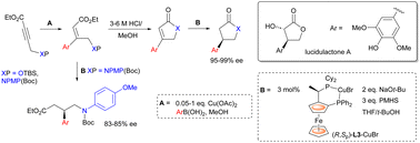 Graphical abstract: An expedient copper-catalysed asymmetric synthesis of γ-lactones and γ-lactams. Application to the synthesis of lucidulactone A