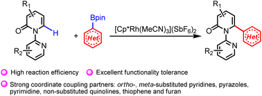 Graphical abstract: RhIII-promoted directed C–H N-heteroarylation of 2-pyridones
