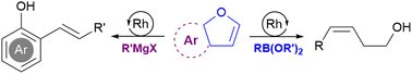 Graphical abstract: Rh-catalyzed ring-opening coupling of cyclic vinyl ethers with organometallic reagents