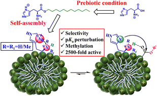 Graphical abstract: Self-assembled prebiotic amphiphile-mixture exhibits tunable catalytic properties