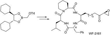 Graphical abstract: Total synthesis and biological evaluation of histone deacetylase inhibitor WF-3161