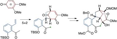 Graphical abstract: Construction of the tetracyclic ring system of diterpene alkaloids via cationic [5 + 2] cycloaddition