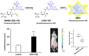 Graphical abstract: Development of an activity-based chemiluminogenic probe for γ-glutamylcyclotransferase