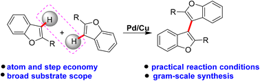 Graphical abstract: Pd-catalyzed homo-coupling of benzofurans: one-pot synthesis of diverse 3,3′-bisbenzofurans