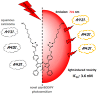 Graphical abstract: Synthesis and in vitro photodynamic activity of aza-BODIPY-based photosensitizers