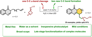 Graphical abstract: Dicarbofunctionalization of unactivated alkenes via organo-photoredox catalysis in water: access to cyanoalkylated fused quinazolinones