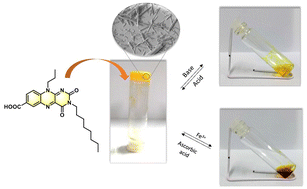 Graphical abstract: Flavin based supramolecular gel displaying multi-stimuli triggered sol–gel transition