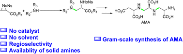 Graphical abstract: Catalyst- and solvent-free regioselective ring opening of aziridines with amines: application in the gram-scale synthesis of the α,β-diamino propionic derivative, aspergillomarasmine A