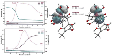 Graphical abstract: Theoretical study of the rearrangement reaction in bisorbicillinoid biosynthesis: insights into the molecular mechanisms involved