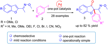 Graphical abstract: Synthesis of (E)-2-(1-(methoxyimino)ethyl)-2-phenylbenzofuran-3(2H)-ones from (E)-1-(benzofuran-2-yl)ethan-1-one O-methyl oximes and iodobenzenes via a palladium-catalyzed dearomative arylation/oxidation reaction