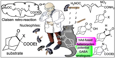 Graphical abstract: Towards a qualitative understanding of the carbonyl reactivity of α-substituted ethyl 5-oxohomoadamantyl-4-carboxylates